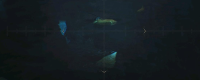 Share the strategy of fishing for goldfish in Monster Hunter Wilderness