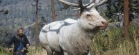 Introduction to the legendary elk capture method of "Red Dead Redemption 2"