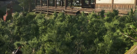 Introduction to the location of the Nijo Castle General's samurai in Assassin's Creed: Shadow
