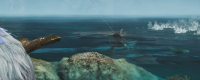 Introduction to the specific location of gluttonous tuna in Monster Hunter: The Wilderness
