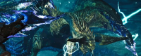 "Monster Hunter: The Wild" Sharing of the Tactic Thunder Dragon in "Monster Hunter: The Wild"