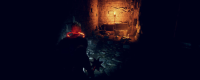 "Dungeon Chaser" game playing platform introduction
