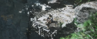 "Black Myth: Wukong" Chapter 4 Pansiling is easy to miss the content introduction