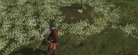 "Soul of Mount Yotei" Beginner's Guide to Sharing