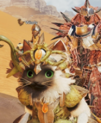 Introduction to the specific numerical values ​​of "Monster Hunter: Wild" skill