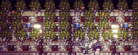 Share the skills of making money by planting in Doroko Town