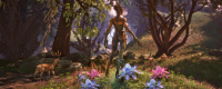 Introduction to the game configuration requirements of "Elder Scrolls 4: Annihilation Remake"