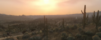 "Red Dead Redemption" treasure hunter challenge achievement strategy sharing