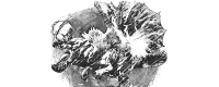 Share the specific location of Thunder Guardian Dragon in Monster Hunter: The Wilderness