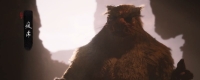 What materials are needed for the bronze brocade robe in "Black Myth: Wukong"