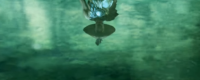 Sharing the complete guide to Shura Dao in "Sword and Demon Sealing Record"