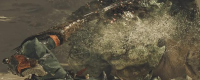 Share the tricks of sneak attacking monsters in Monster Hunter: The Wild
