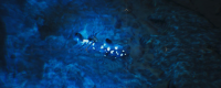 "Monster Hunter: The Wilderness" shared the strategy of fishing for fossil coelacanthfish