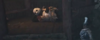Introduction to the knowledge of Panda Businessman in the Late Ming Dynasty: The Feather of Yuanxu
