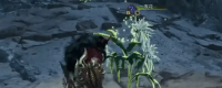 Introduction to "Monster Hunter: The Wilderness" One Night Flower Strategy