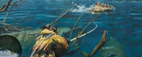 Share fishing skills in Monster Hunter: The Wilderness