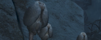 Introduction to the exquisite camp achievements of Monster Hunter: The Wilderness