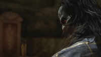 How to reduce your Madness in Wuchang Fallen Feathers