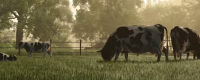 "Farming Simulator 25" game playing platform introduction