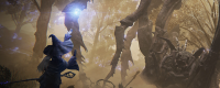 Introduction to the hermit skills characteristics of 