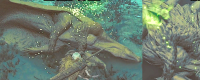 Introduction to the location of "Monster Hunter: The Wilderness" Winter Dragon and Summer Grass