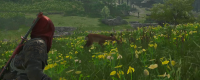 Introduction to the location of Xiaodeo's pets in Assassin's Creed: Shadow