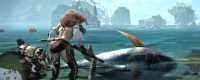 Introduction to the reason why fish do not bite the hook