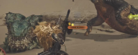 "Monster Hunter: The Wilderness" heavy crossbow equipment recommendation