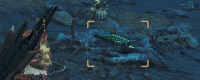Introduction to the specific location of the flame-leader lizard in Monster Hunter: The Wilderness