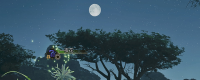 Introduction to the conditions for the appearance of one night flowers in Monster Hunter: The Wilderness