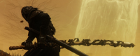 Complete analysis and sharing of the role of executor of 