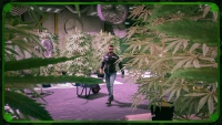 GTA Online update for the week of April 17
