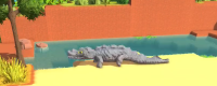 Introduction to the method of catching crocodile in Jinken Town