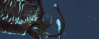 Introduction to the location of fishing for huge squids in Monster Hunter: The Wilderness