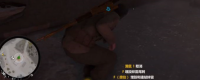 "Sniper Elite: Resistance" Sharing of using mines and stress mines