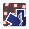 Paramedic Protocol Provider Agency