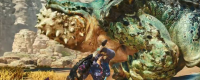 Share the battle notes for "Monster Hunter: Wild" game