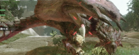 Share the skills of "Monster Hunter: The Wilderness" to fight female fire dragons