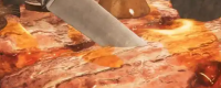 Share the skills of using fixed props in Monster Hunter: The Wilderness