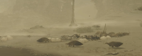 "Monster Hunter: The Wild" Common Props Materials Obtaining Locations Share