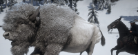 Introduction to the legendary White Bison capture method of "Red Dead Redemption 2"