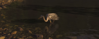 Introduction to the location of the ink painting of the egrets and fisherman songs in 