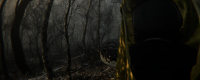 "DIGESTED" game official website address introduction