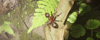 Introduction to the game features of "Ant Empire"